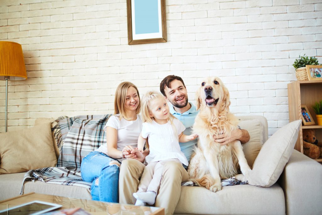 Home Energy Audit